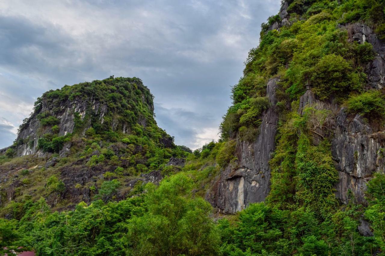 Phong Nha Orient Hotel エクステリア 写真