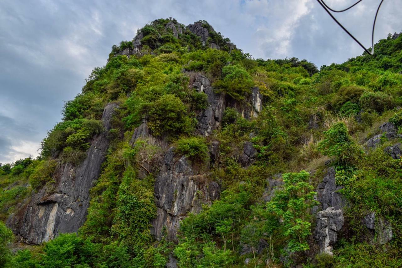 Phong Nha Orient Hotel エクステリア 写真