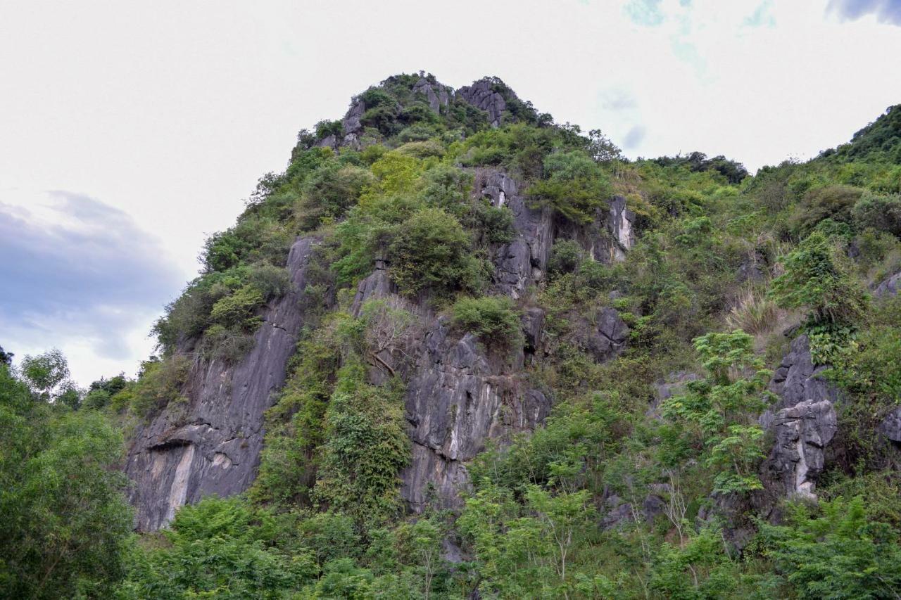 Phong Nha Orient Hotel エクステリア 写真